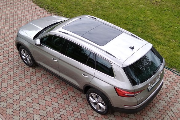 Фото: Константин Козлов