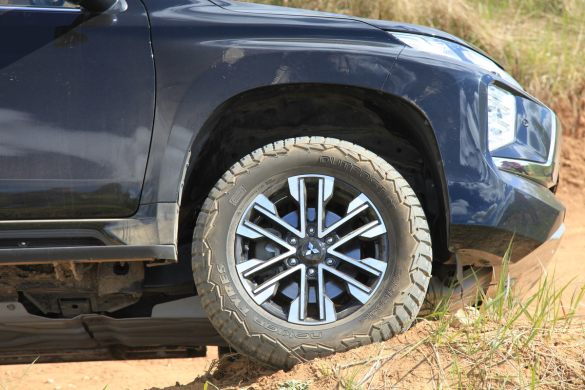 Фото: Владимир Головин