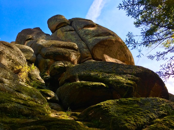 Фото: Евгений Елисеев