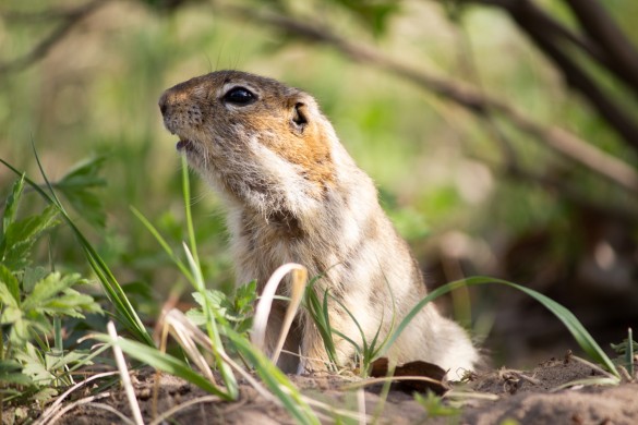 Фото: Евгений Елисеев