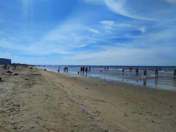 Пляж острова Ягры. Фото: Екатерина Ежова