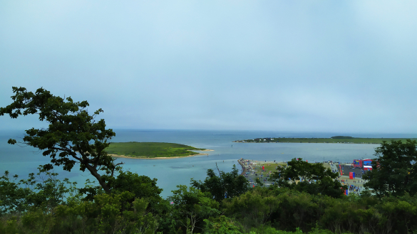 Мыс Ахлестышева, остров Русский. Фото: Екатерина Ежова