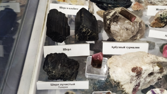 Шерл. Фото: Екатерина Ежова