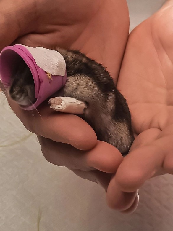 Фото: соцсети