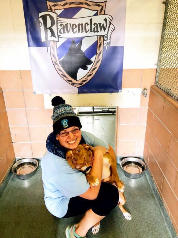 Фото: Pet Alliance of Greater Orlando