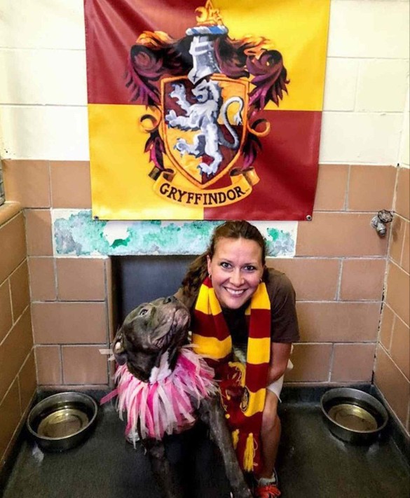 Фото: Pet Alliance of Greater Orlando