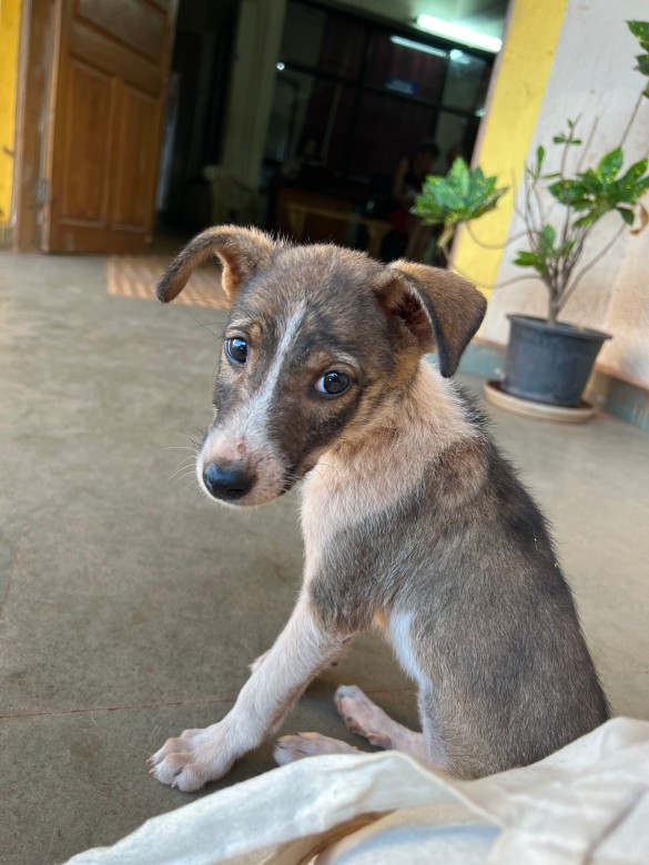 Фото: Архив "Дни.ру"