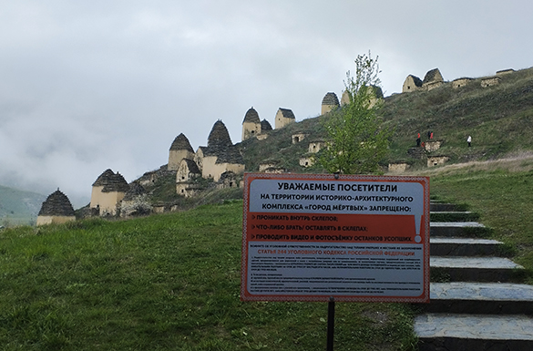 Фото: Екатерина Ежова