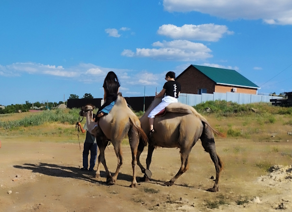 Фото: Екатерина Ежова