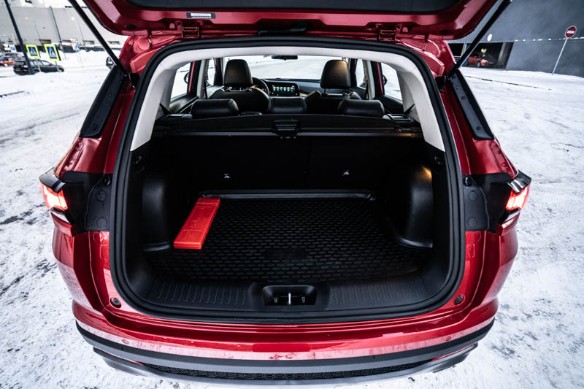 Фото: Родион Газманов