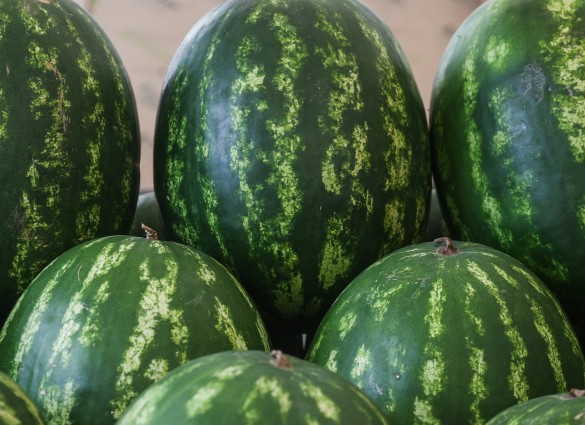 Фото: Bulkin Sergey / news.ru / www.globallookpress.com