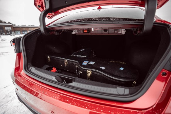 Фото: Родион Газманов