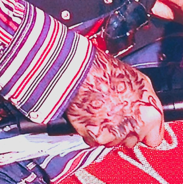 Фото: Феликс Грозданов / Дни.ру