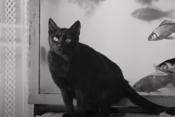 Кадр YouTube / @MosfilmRuOfficial