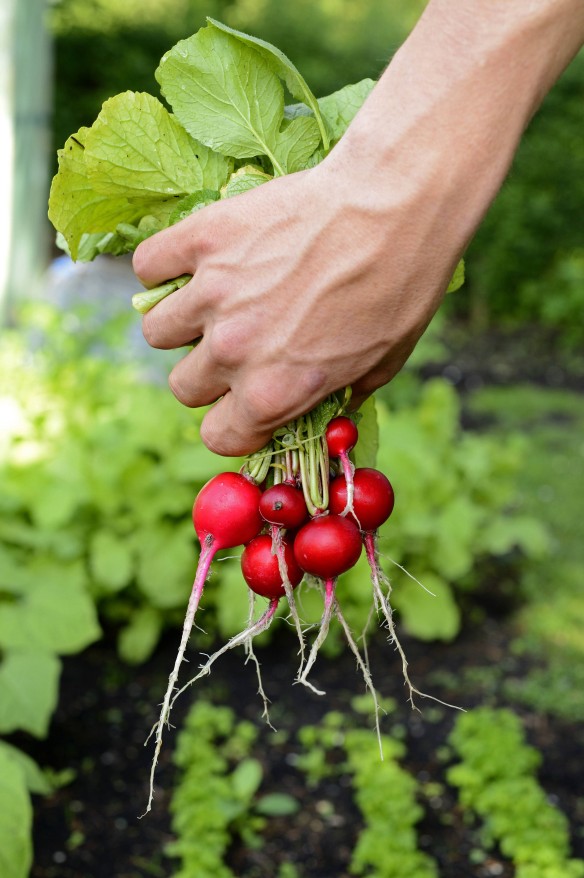 Фото: D. u. M. Sheldon / blickwinkel / www.globallookpress.com