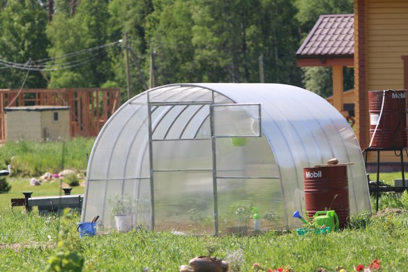 Фото: Maksim Konstantinov / Global Look Press / www.globallookpress.com