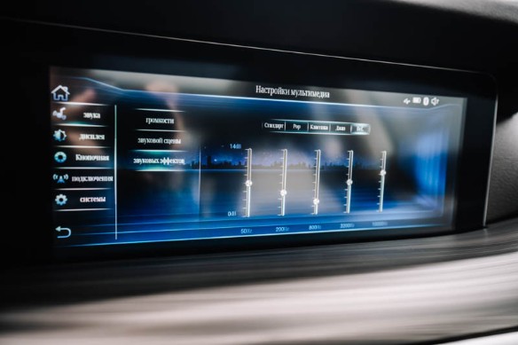 Фото: Родион Газманов