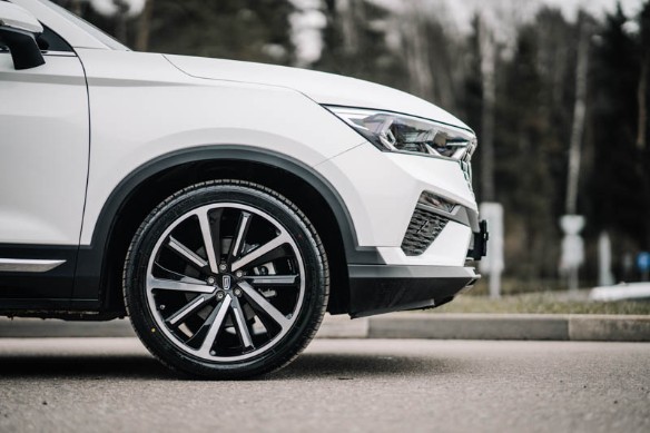 Фото: Родион Газманов