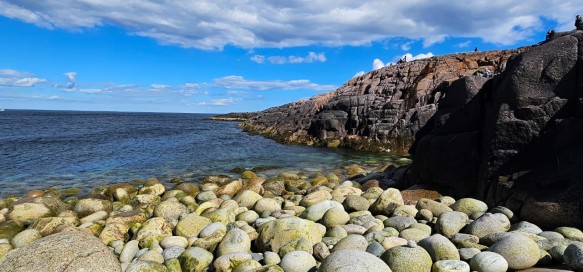 Фото: Феликс Грозданов / Дни.ру