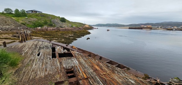 Фото: Феликс Грозданов / Дни.ру