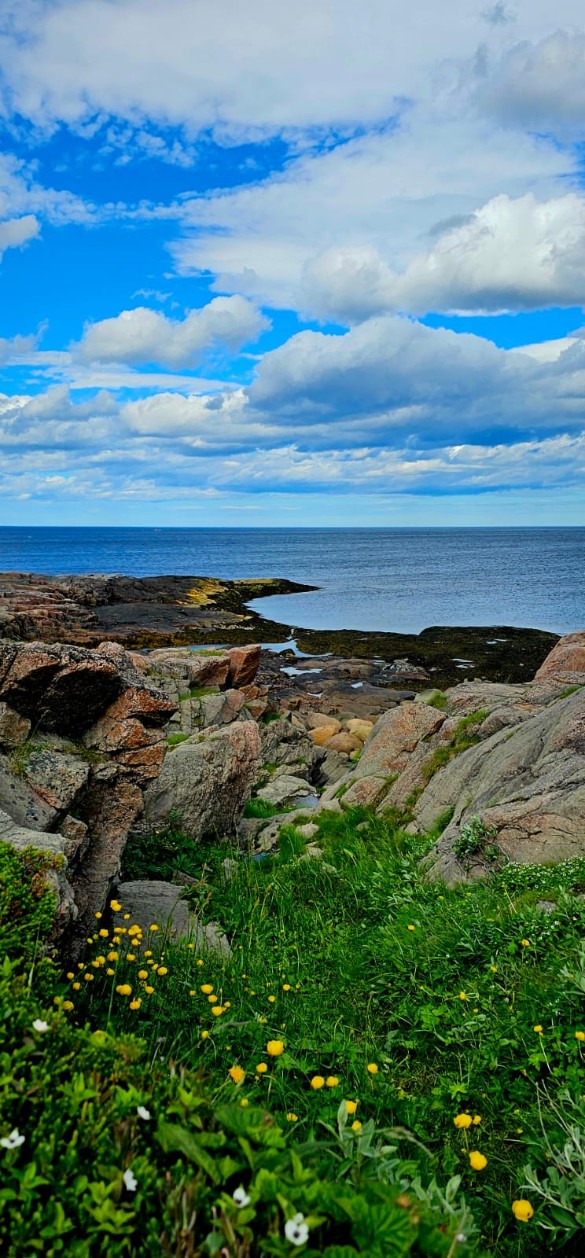 Фото: Феликс Грозданов / Дни.ру