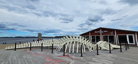 Фото: Феликс Грозданов / Дни.ру