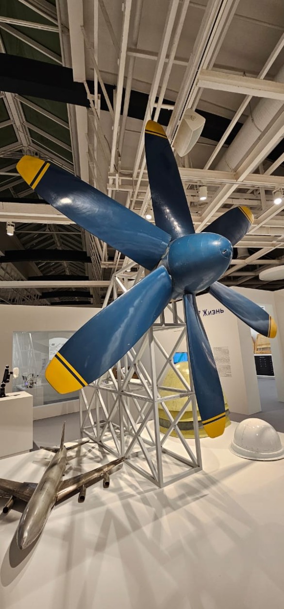 Фото: Феликс Грозданов / Дни.ру