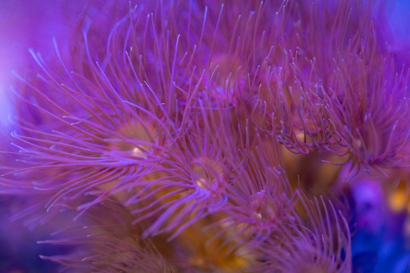 Фото: пресс-служба