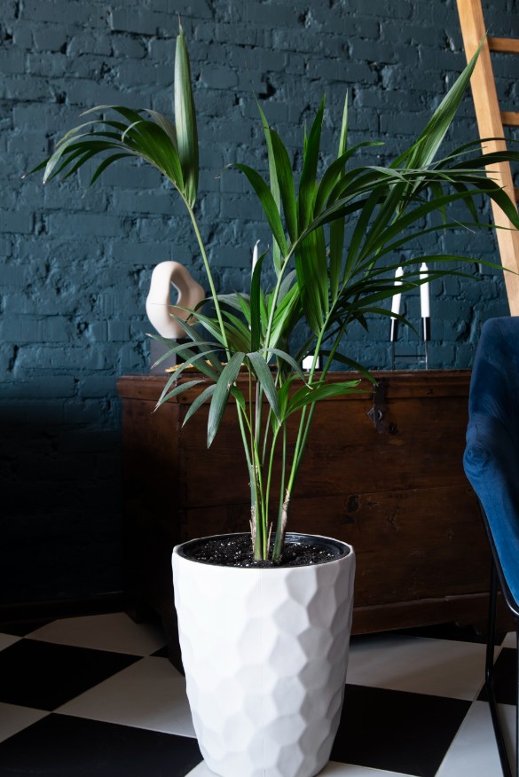 Фото: freepik.com