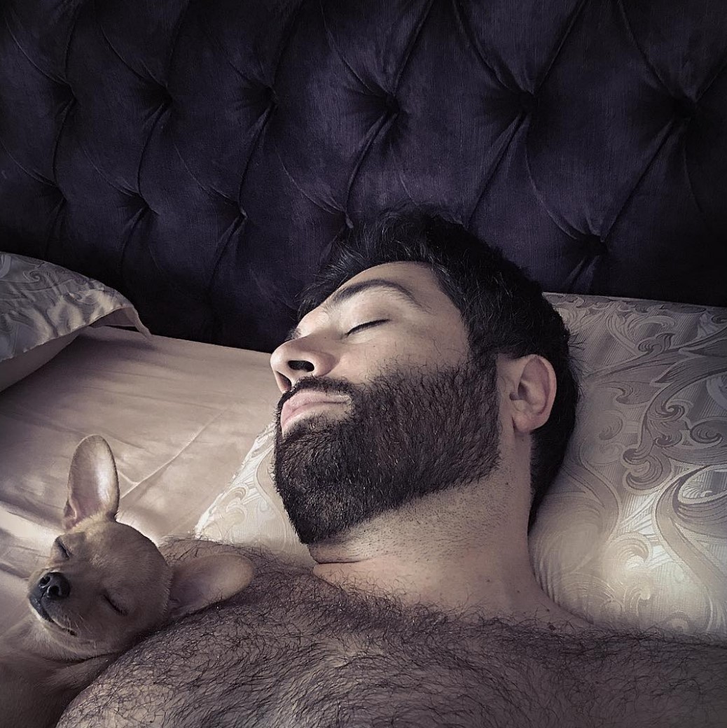 Перед харизмой артиста не могут устоять даже животные.