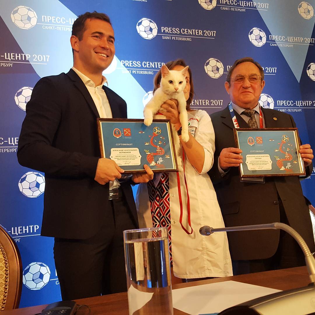 Даже Александр Кержаков не устоял перед таким котиком.