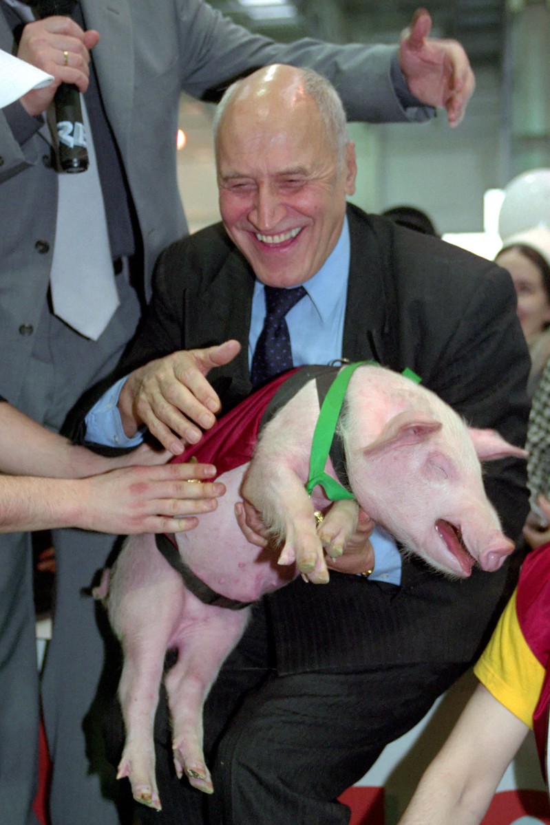 Ученые сделали сенсационное открытие - оказалось, что гены свиньи и человека совпадают больше, чем было принято считать.