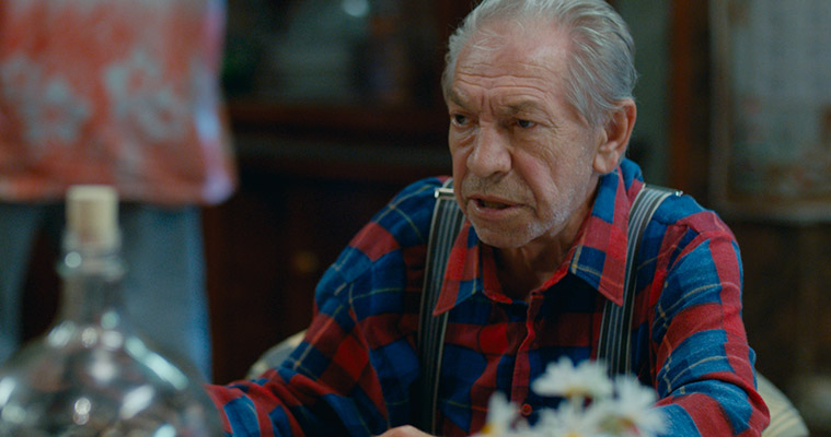 Одной из последних ролей Толоконникова стал самый взрослый член семьи Бобровых Павел Григорьевич Бобров в комедии "СуперБобровы".