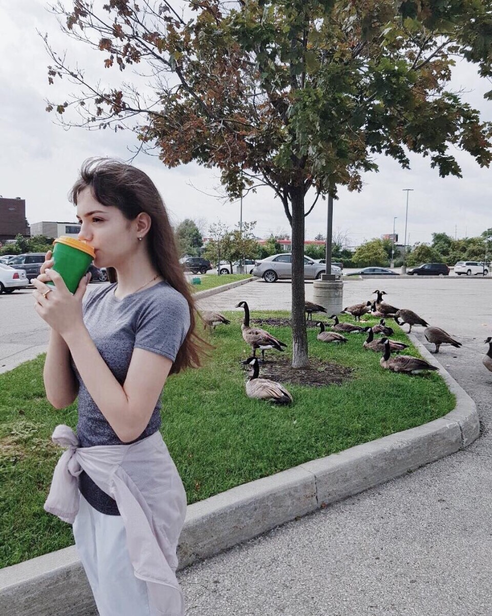 «Кофе, гуси. Добро пожаловать в Торонто», — написала в описании к снимку Медведева.