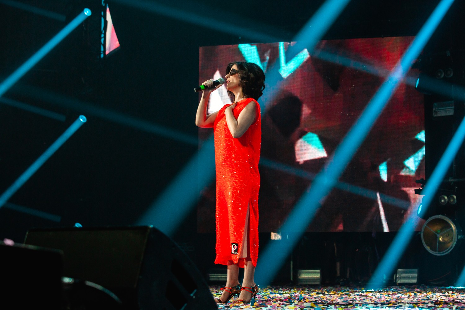 Певица Диана Гурцкая.