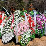 На кладбище запретили устанавливать памятник Началовой 