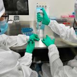 В Кремле рассказали о влиянии коронавируса на поправки в Конституцию