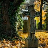 Убийцам тут места нет: алкоголика Ефремова похоронят подальше от знаменитых матери и отца