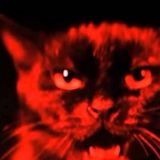 Тест: Отгадайте комедию Гайдая по кошке