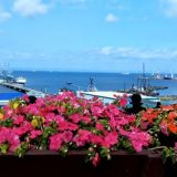 Километры за мечтой: куда бежал Игорь Николаев и кто сейчас там живет 