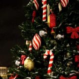 Искусственная или настоящая: какая новогодняя елка безопаснее для дома