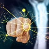 Если сможете ответить на эти 10 вопросов, можете считать себя эрудитом! / Проверь свои знания!