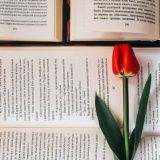 ТЕСТ: литературная вселенная – только гении осилят 5 из 5. А вы?