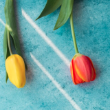 Тест: насколько хорошо вы помните фильмы о весне из СССР? 