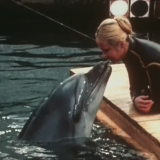 Тест: угадайте советские фильмы и мультфильмы по кадру с дельфином