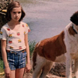 Тест: угадайте советский фильм по кадру с героиней и псом